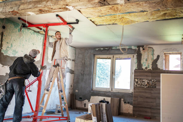 Best Insulation Installation Services in Richmond Heights, FL